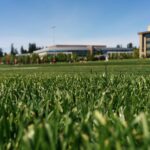 grass-lawn-sports-field-19664